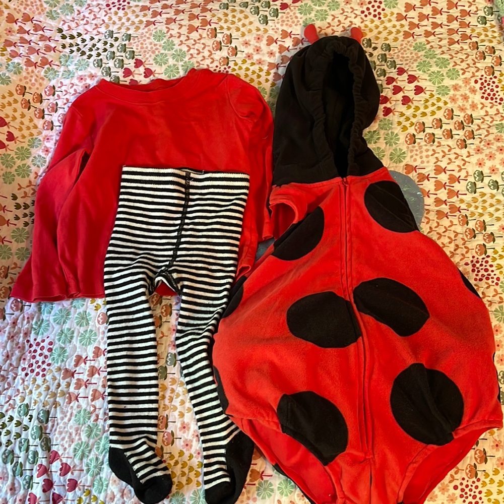 Carter’s ladybug costume in 24 month size